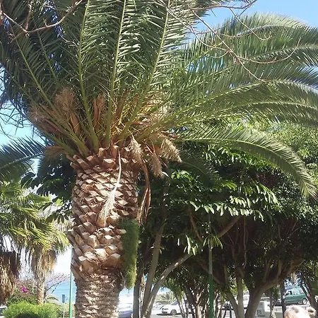 Gartenwohnung Puerto De La Cruz Daire *